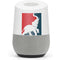 Republican Google Home Skin